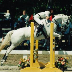 Meet your Posher, Elizabeth